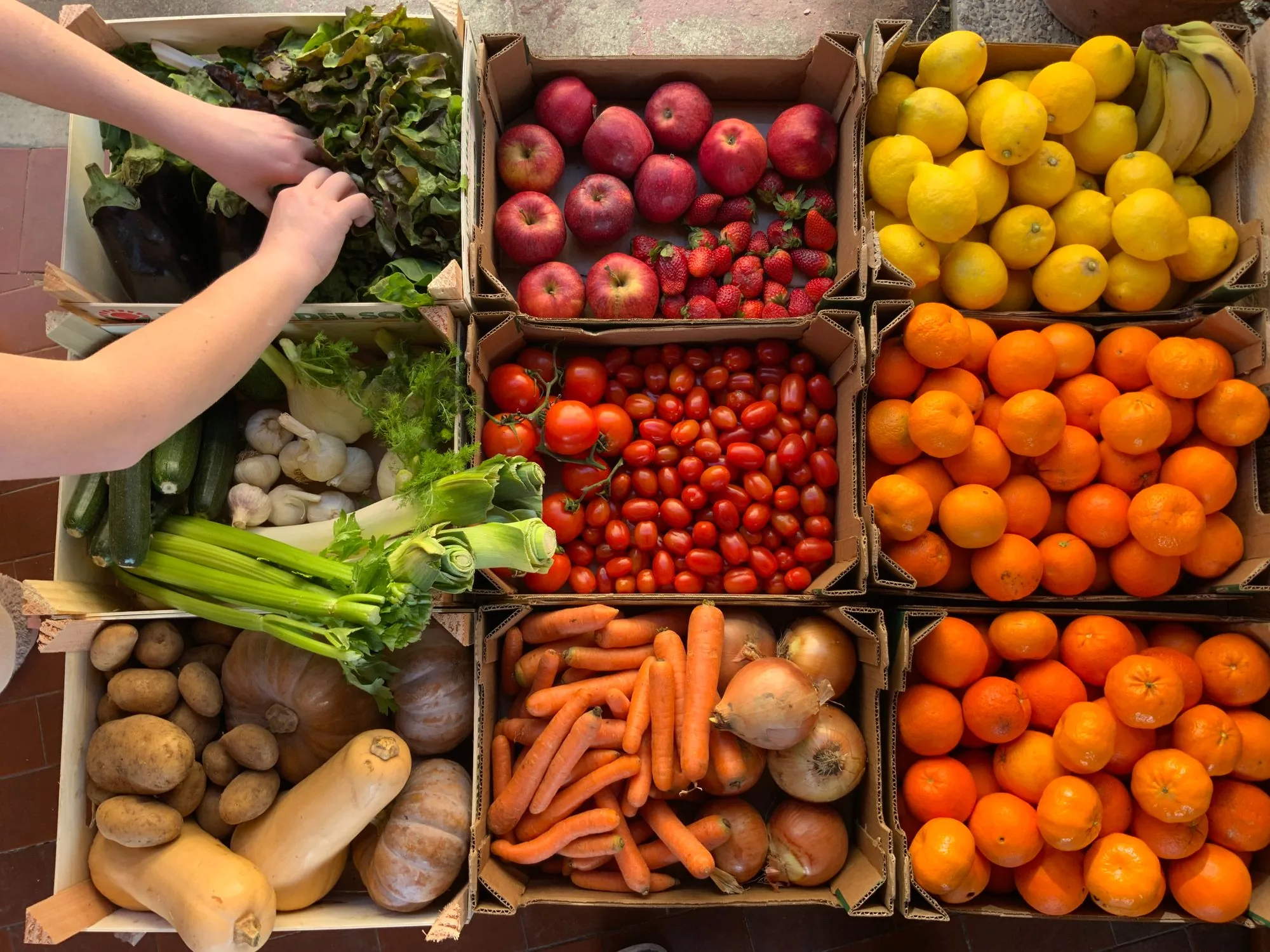 Fresh produce prepared for market